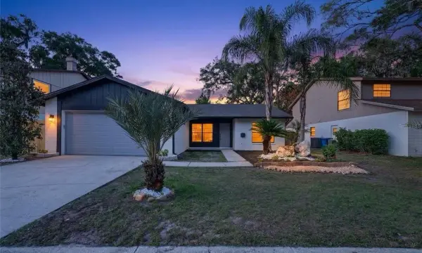 14841 Oak Vine Drive, Lutz, FL, 33559