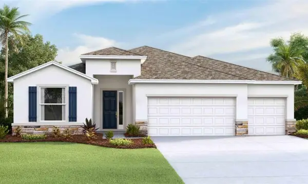 32705 Duluth Drive, Wesley Chapel, FL, 33543
