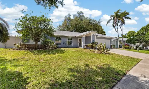 1668 Allens Ridge Drive N, Palm Harbor, FL, 34683