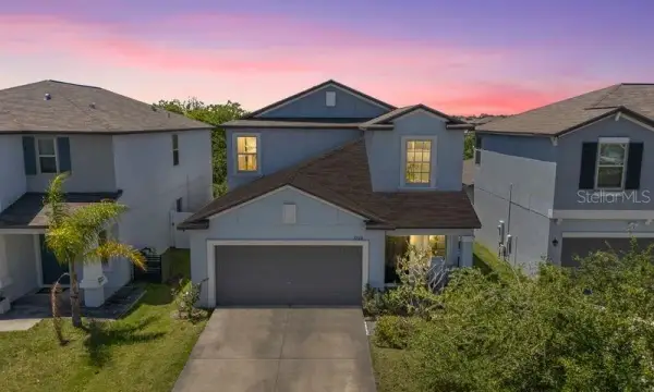 3703 Globe Thistle Drive, Tampa, FL, 33619