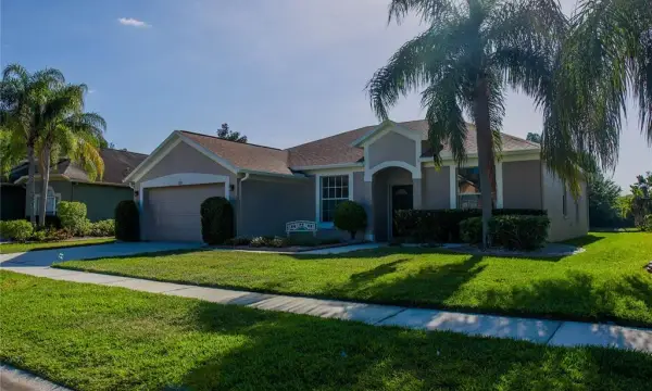 18012 Sparrows Nest Drive, Lutz, FL, 33558