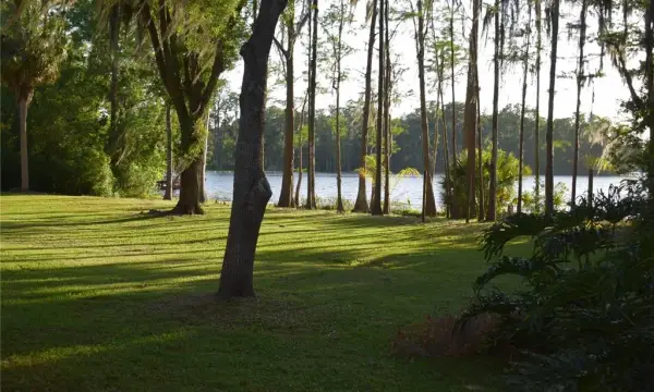 16308 Rock Lake Drive, Odessa, FL, 33556