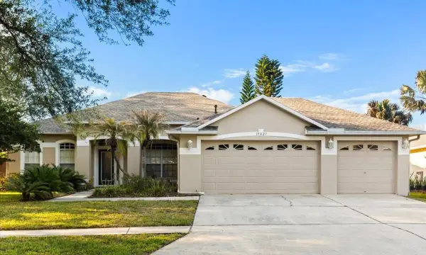 19027 Dove Creek Drive, Tampa, FL, 33647