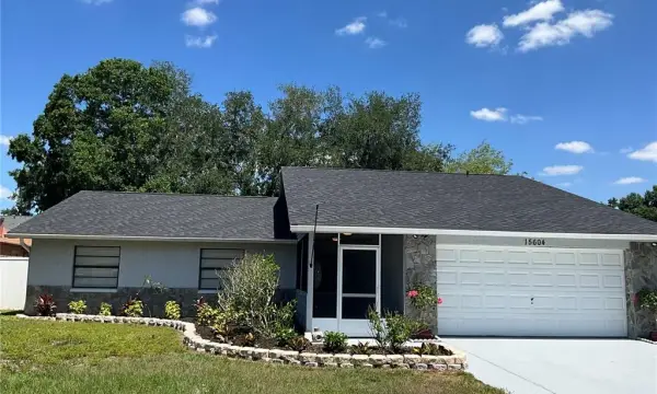 15604 Timberline Drive, Tampa, FL, 33624