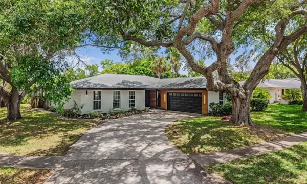 848 Hillside Drive, Palm Harbor, FL, 34683