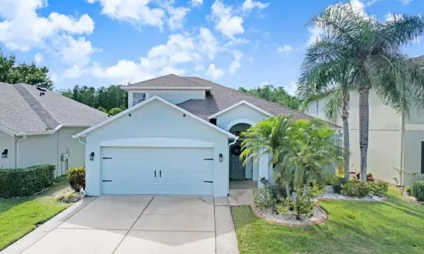 3915 Duke Firth Street, Land O Lakes, FL, 34638