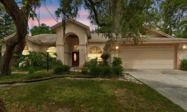 1336 Waterwood Drive, Lutz, FL, 33559
