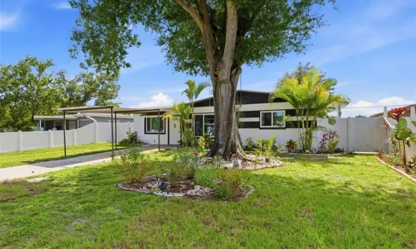 6206 N Hale Avenue, Tampa, FL, 33614