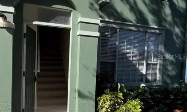 9832 Lake Chase Island Way, Tampa, FL, 33626