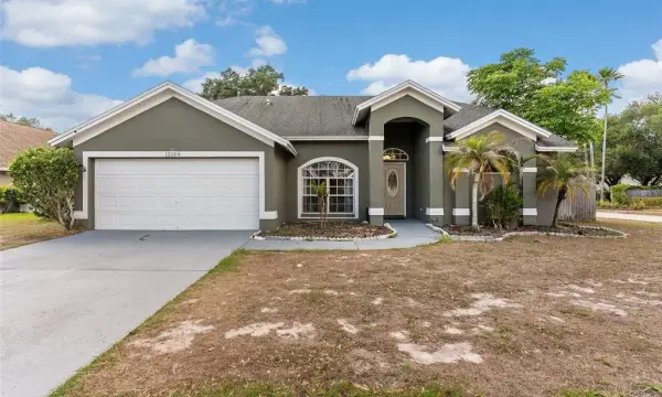 12106 Shady Forest Drive, Riverview, FL, 33569