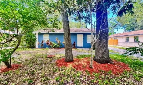 1907 E Emma Street, Tampa, FL, 33610