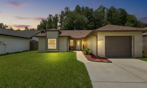 12832 Coverdale Drive, Tampa, FL, 33624