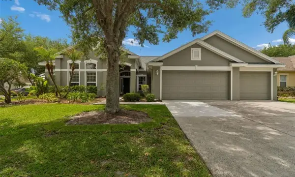 10243 Shadow Branch Drive, Tampa, FL, 33647