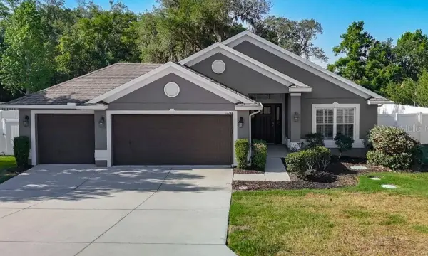 12244 Loopback Drive, San Antonio, FL, 33576