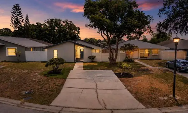 11005 Underwood Place, Tampa, FL, 33624