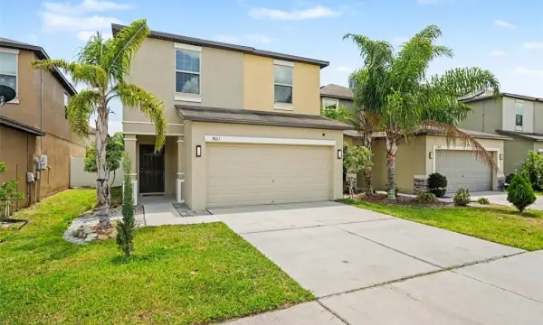 7421 French Marigold Avenue, Tampa, FL, 33619