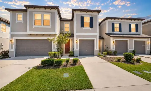 31555 Blue Passing Loop, Wesley Chapel, FL, 33545