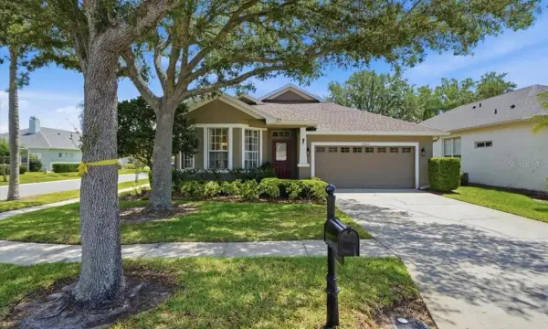 19409 Golden Slipper Place, Lutz, FL, 33558