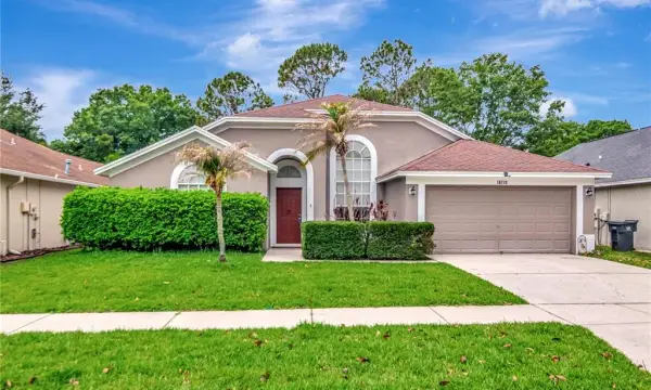 18210 Sweet Jasmine Drive, Tampa, FL, 33647