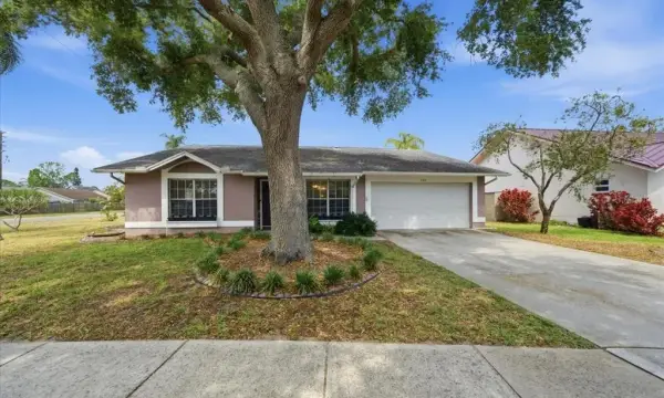798 Countryshire Lane, Palm Harbor, FL, 34683