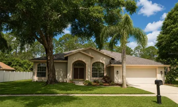 17316 Hialeah Drive, Odessa, FL, 33556