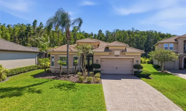 30852 Spruceberry Court, Wesley Chapel, FL, 33543