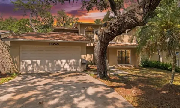 14728 Tall Tree Drive, Lutz, FL, 33559