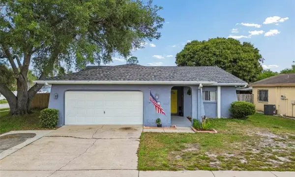4733 Ridge Point Drive, Tampa, FL, 33624