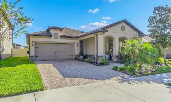 18744 Birchwood Groves Drive, Lutz, FL, 33558