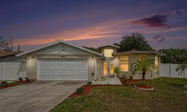 12601 Wood Ibis Way, Tampa, FL, 33624