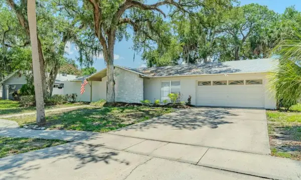 8018 W Pocahontas Avenue, Tampa, FL, 33615