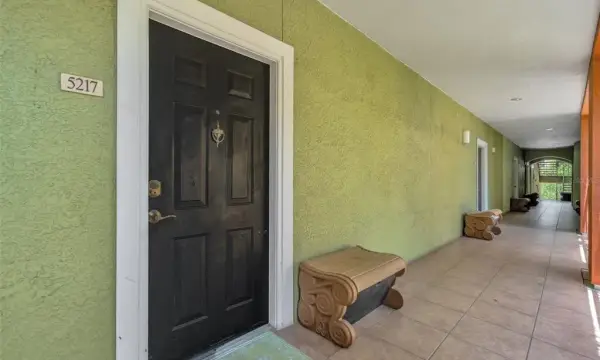 1810 E Palm Avenue, Unit 5217, Tampa, FL, 33605