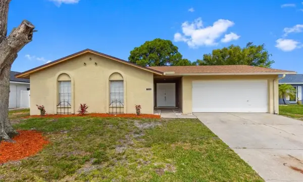 7516 Armand Circle, Tampa, FL, 33634