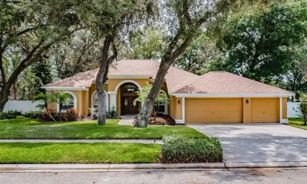 10131 Paddock Oaks Drive, Riverview, FL, 33569