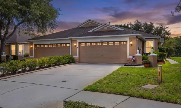 19109 White Wing Place, Tampa, FL, 33647