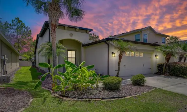 7847 Tuscany Woods Drive, Tampa, FL, 33647