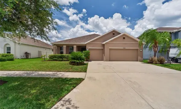 11621 Tetrafin Drive, Riverview, FL, 33579
