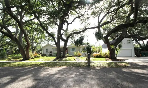 2436 Navarez Avenue, Safety Harbor, FL, 34695