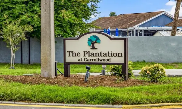 10307 Pennytree Place, Tampa, FL, 33624
