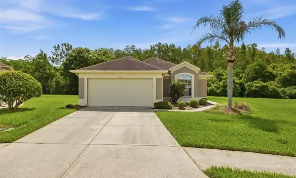 5600 Sir Barton Court, Wesley Chapel, FL, 33544
