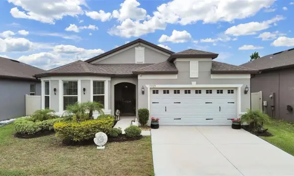 11121 Green Harvest Drive, Riverview, FL, 33578