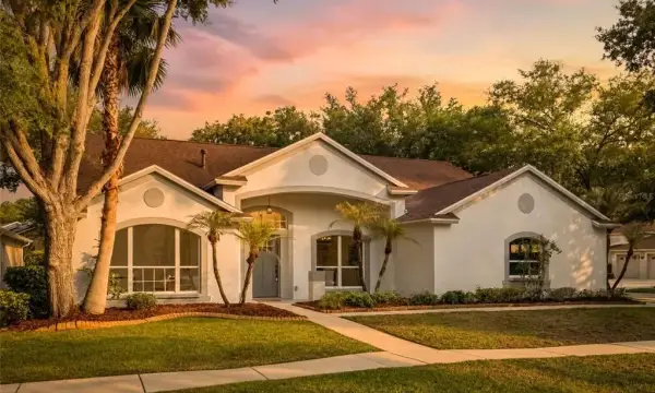 10117 Whisper Pointe Drive, Tampa, FL, 33647