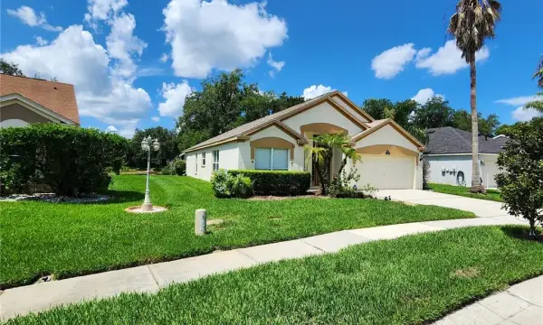 30702 Iverson Drive, Wesley Chapel, FL, 33543