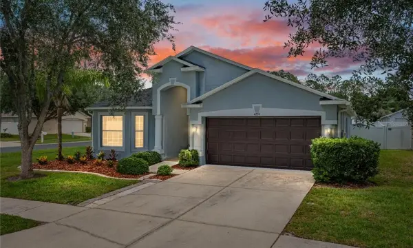 4224 Branchside Lane, Wesley Chapel, FL, 33543