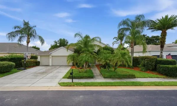 2138 Edelweiss Loop, Trinity, FL, 34655