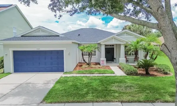 11023 Holly Cone Drive, Riverview, FL, 33569