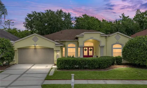 1808 Tangledvine Drive, Wesley Chapel, FL, 33543