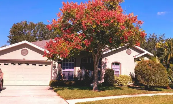 21629 Silver Bay Place, Land O Lakes, FL, 34637