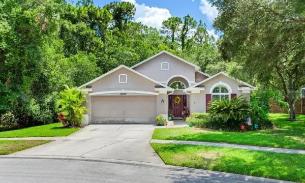 12502 Blazing Star Drive, Tampa, FL, 33626