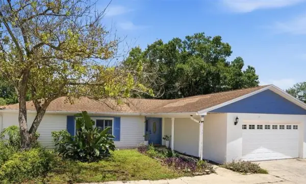1130 Wyatt Street, Clearwater, FL, 33756